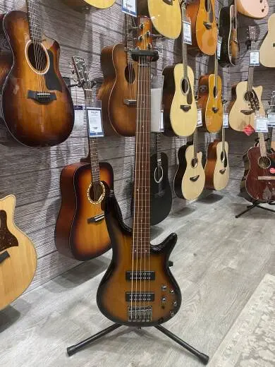 Ibanez Fretless Bass - 5 String